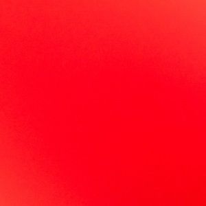 Meet your Posher, Amelia